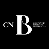VIDEO: Companhia Nacional de Bailado Installs Linoleum in Dancers' Homes Photo