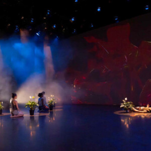WHITE WAVE Dance Receives $125,000 Matching Gift From John C. Ryan Photo