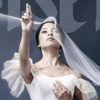 Ethan Stiefel Brings Internationally Acclaimed Production Of GISELLE To American Repertory Photo