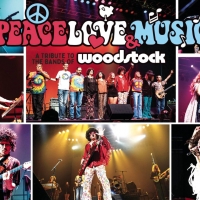 Music in the Park Announces Lineup For This Summer's 'Peace, Love & Music: A Tribute Photo