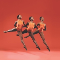 Dance Theatre of Harlem to Return to Lesher Center for the Arts With Works by William Photo