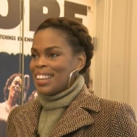 VIDEO: Chelsea Lee Williams Discusses Being an Understudy in GIRL FROM THE NORTH COUNTRY Photo
