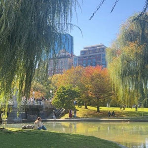 Student Blog: I'm Shipping (Back) Up To Boston