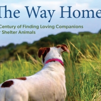 THE WAY HOME: A CENTURY OF FINDING LOVING COMPANIONS FOR SHELTER ANIMALS Documentary Photo