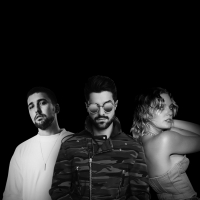 Tove Lo, Alok & llkay Sencan Release 'Don't Say Goodbye'
