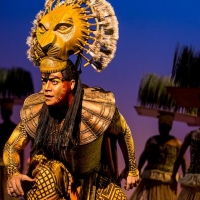 Review: THE LION KING at Gammage Auditorium Photo