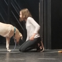 Three-Legged Therapy Dog To Make Stage Debut In ANNIE