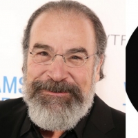 Mandy Patinkin Will Star in Season Five of THE GOOD FIGHT Photo