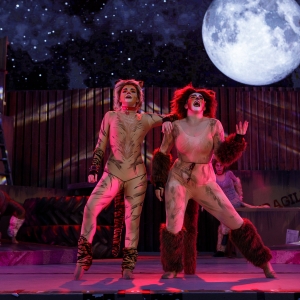Review: CATS THE MUSICAL at Stage West At The Lights
