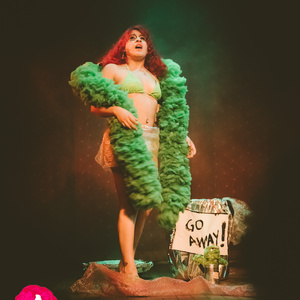 A HOTSY TOTSY BURLESQUE TRIBUTE TO THE MUPPET SHOW is Coming to The Slipper Room