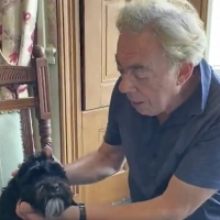 VIDEO: Andrew Lloyd Webber and His Dog, Mojito, Sing 'How Much Is That Doggy in the W Photo