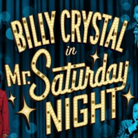 Meet the Cast of MR. SATURDAY NIGHT