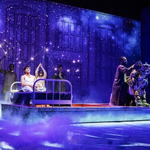 Review: THE LIFE OF PI at the Fabulous Fox Theatre Photo