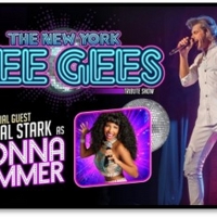 King Center Announces Three Shows Coming This Fall