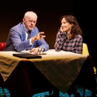 Review Roundup: HOW I LEARNED TO DRIVE Opens On Broadway