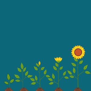 Student Blog: Growing on My Own Timeline Photo