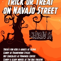 2nd Annual Trick Or Treat On Navajo Street Photo