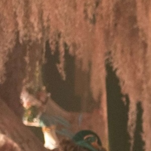 Listen to the WICKED: FOR GOOD Soundtrack with Cast and Filmmaker Commentary Photo