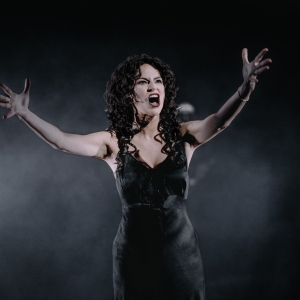 Interview: SUNSET BOULEVARD's Mandy Gonzalez is Bringing All of Herself to Norma Desm Interview