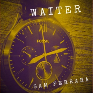 Sam Ferrara Serves Up New Single 'Waiter' Photo
