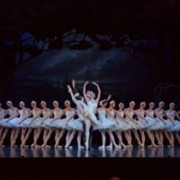 Queensland Ballet Presents Ben Stevenson's SWAN LAKE Video
