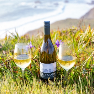 CROSSBARN Sonoma Coast Wines-Delightful Wines for Warm Weather Photo