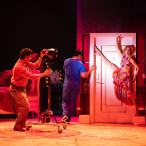 Review: DESTINY OF DESIRE: A TELENOVELA PLAY WITH MUSIC at Denver Center For The Performing Arts