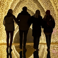 Houston Botanic Garden Presents LIGHTSCAPE This Month