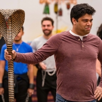 Review Roundup: National Tour of ALADDIN Launches; What Did the Critics Think? Photo