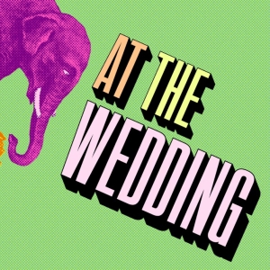 Cast Announced for AT THE WEDDING at Studio Theatre Photo