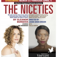 Martha's Vineyard Playhouse Presents THE NICETIES Live Online With Amy Brenneman Photo