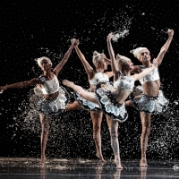 Interview: Mark Morris Talks about the Elegance and Individuality of The Hard Nut at the D Photo