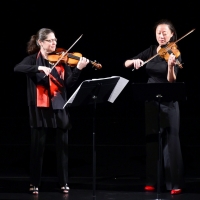 Chamber Dance Violinists Will Perform and Discuss Life in Shutdown Via Zoom Video