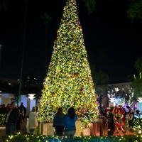 LA'S Union Station to Launch Holiday Season With Live Performances, Tree Lighting & M Photo