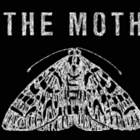 The Moth Presents Virtual StorySlam New York August 5 Photo