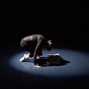 Teatro Paraguas Presents NIGHT SHADE, A Dance Dreamscape Video