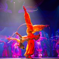 Celebrate The 2020 Chinese New Year At Sydney Town Hall
