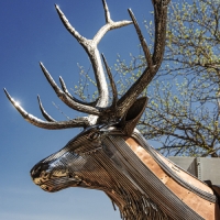 ELK By Travis Sorenson Wins SculptureWalk's 2022 People's Choice Award Photo