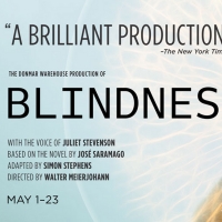 Shakespeare Theatre Company to Reopen its Doors With Donmar Warehouse's BLINDNESS Video