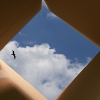 OU OUTSIDE THE BOX An Outdoor Performing Arts Festival, Coming To OU Campus