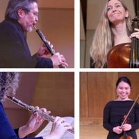 Illinois Philharmonic's First-Ever Solo Concert Series Streams Through March 31 Photo