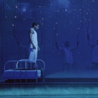 Video: Get a First Look at LIFE OF PI on Broadway Video