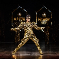 Cirque Du Soleil VOLTA Equality Night In Los Angeles Feb 13 Photo