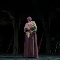Artist Zuhairah McGill to Bring SOJOURNER to National Black Theatre Festival in Augus Photo