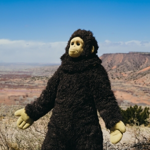 Nina Conti’s SUNLIGHT Sets U.S. Theatrical Release for June Photo
