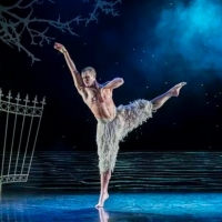 Review Roundup: SWAN LAKE at the Ahmanson - What Did the Critics Think? Photo