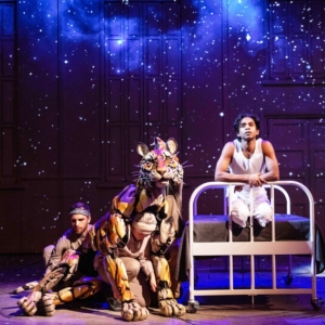 Review: LIFE OF PI Is Existentialist Magic at Benedum Center