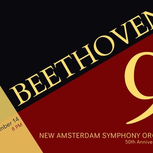New Amsterdam Symphony Orchestra to Open 50th Anniversary Season With Beethoven's Nin Photo