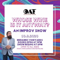 Ed Reggi and Paper Slip Theatre Present WHOSE WINE IS IT ANYWAY? at Meramec Vineyards Photo