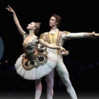 Marquee TV Hosts NUREYEV LEGEND AND LEGACY, Star-Studded Streaming Event Celebrating Balle Photo
